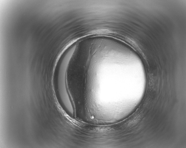 X0000056030939200509170033