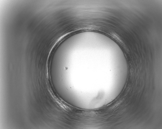 X0000056030940200509170033