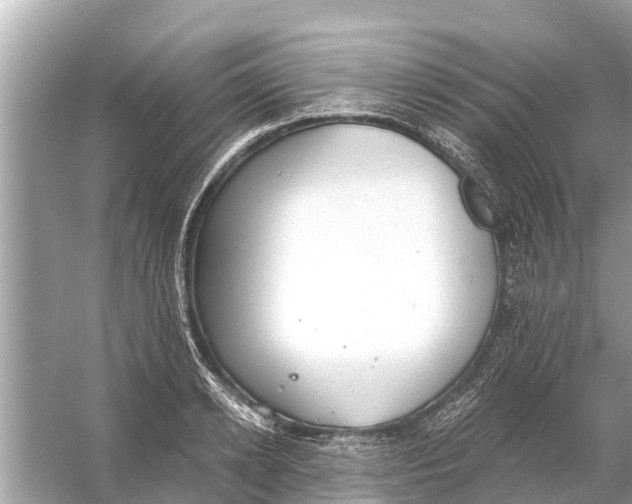 X0000056030942200509170033