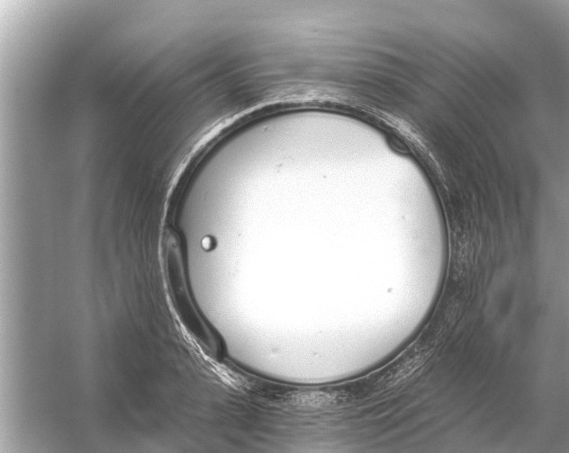 X0000056030943200509170033