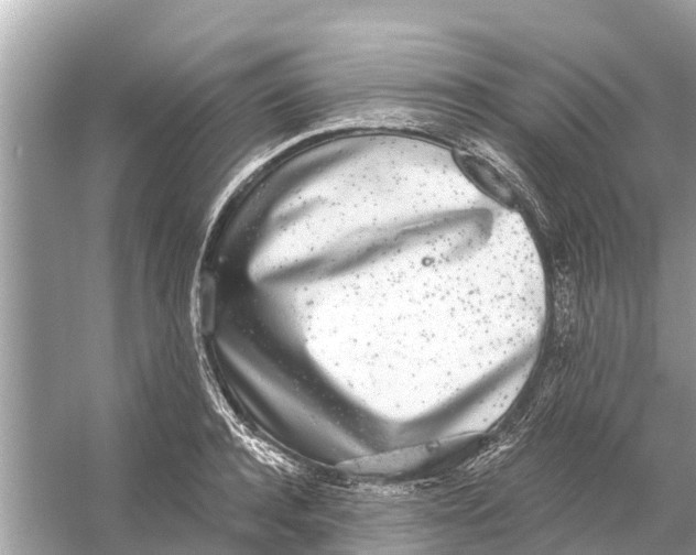 X0000056030944200509170033