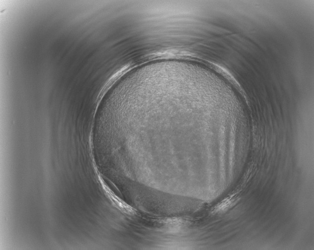 X0000056030946200509170033