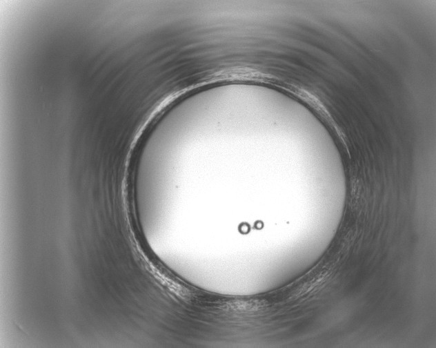 X0000056030947200509170033