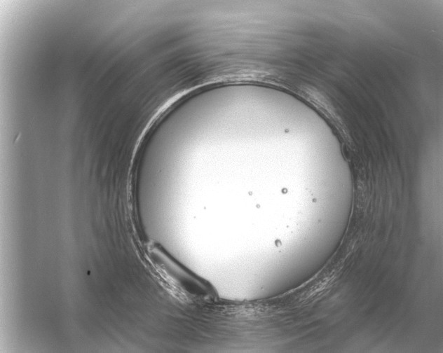 X0000056030948200509170033