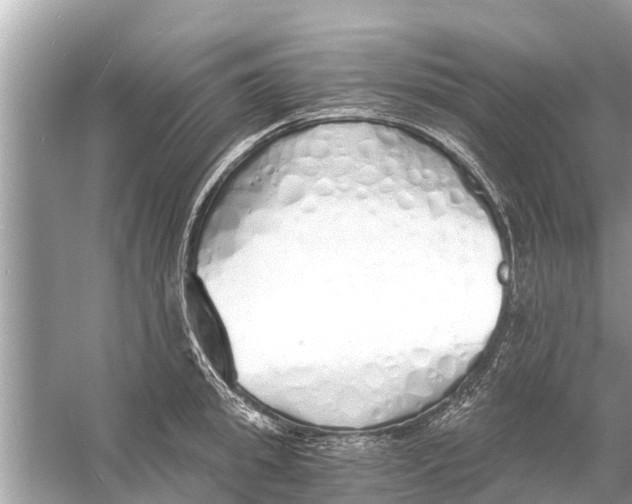 X0000056030949200509170033