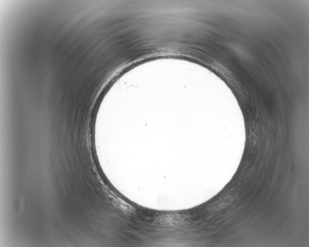 X0000056030950200509170033