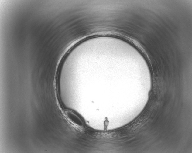 X0000056030951200509170033