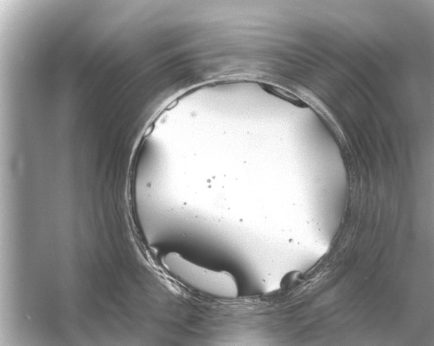 X0000056030956200509170033