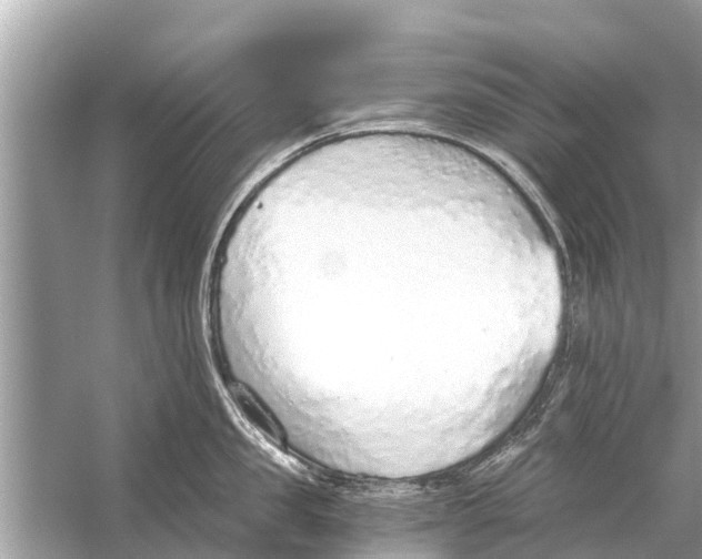 X0000056030957200509170033