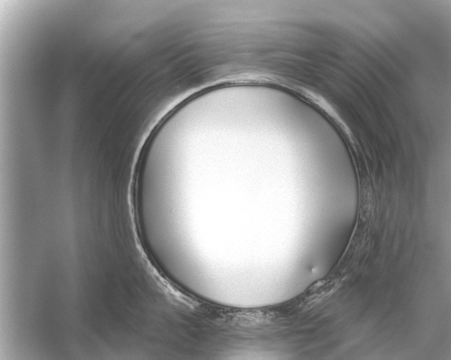 X0000056030959200509170033