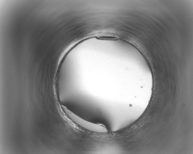 X0000056030960200509170033