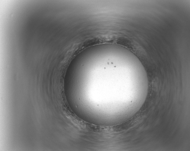 X0000056030961200509170032