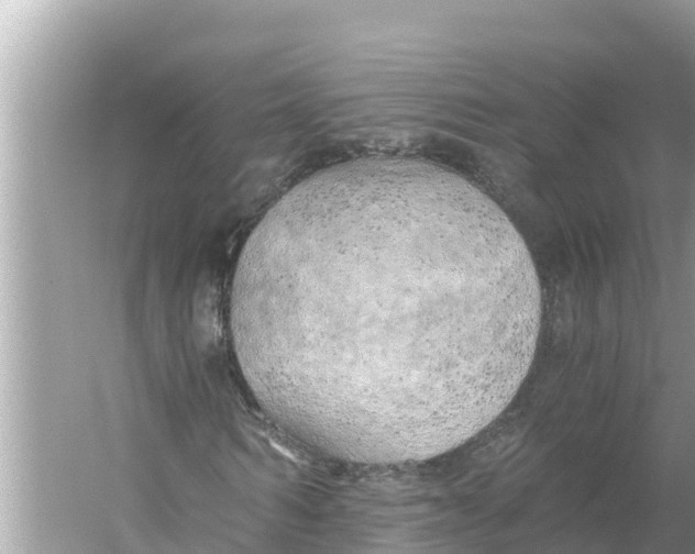 X0000056030962200509170032