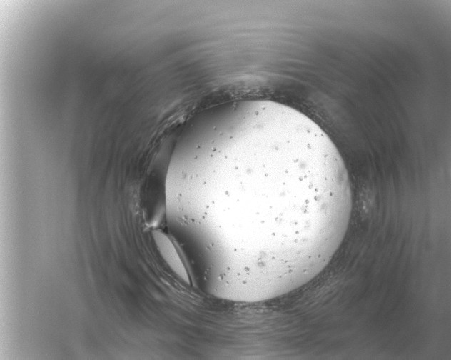 X0000056030964200509170032