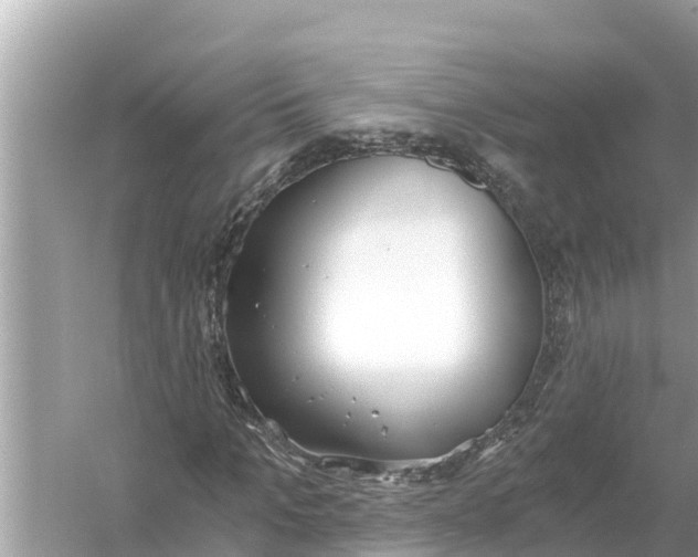 X0000056030965200509170032