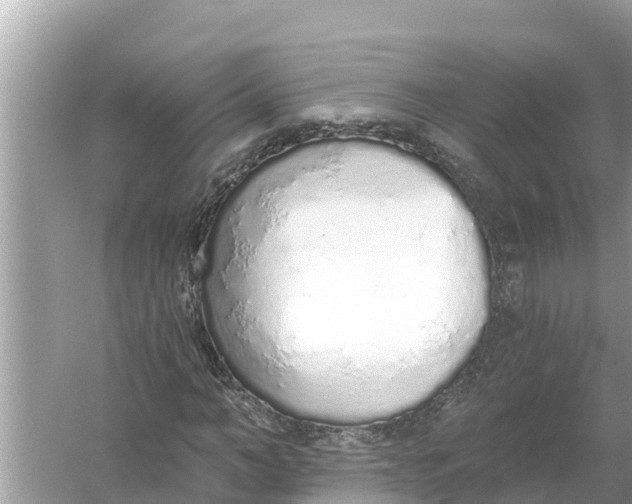 X0000056030966200509170032