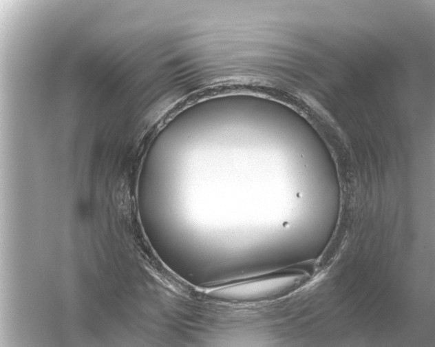 X0000056030969200509170032