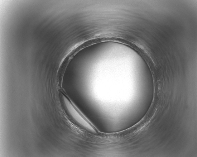 X0000056030973200509170032