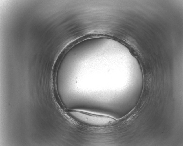 X0000056030976200509170032