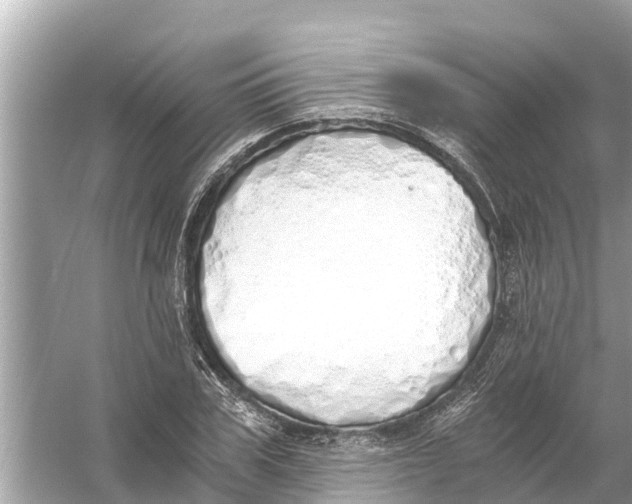 X0000056030979200509170032