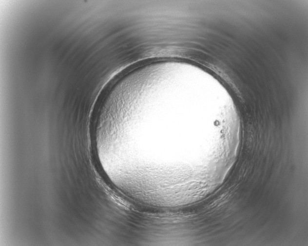 X0000056030980200509170032