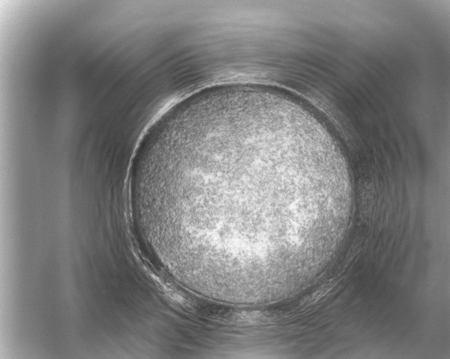 X0000056030982200509170032