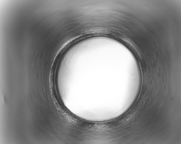 X0000056030983200509170032