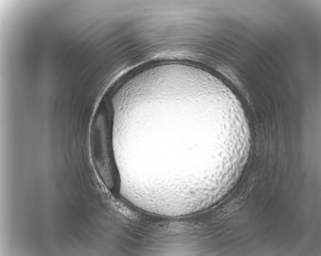 X0000056030984200509170032