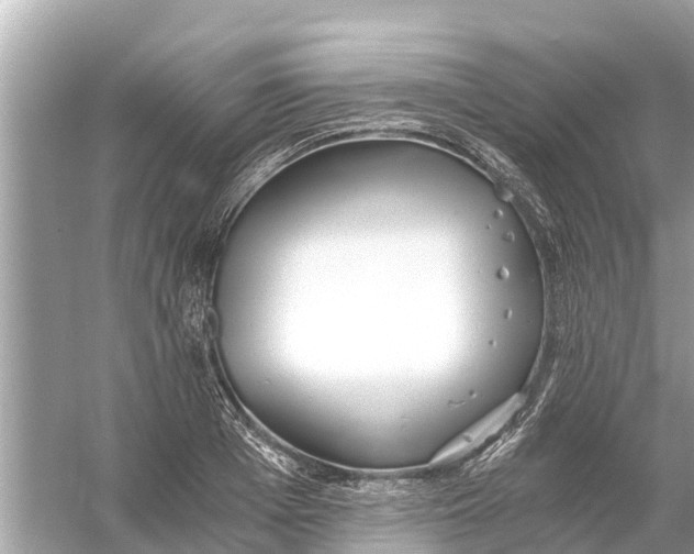 X0000056030985200509170032