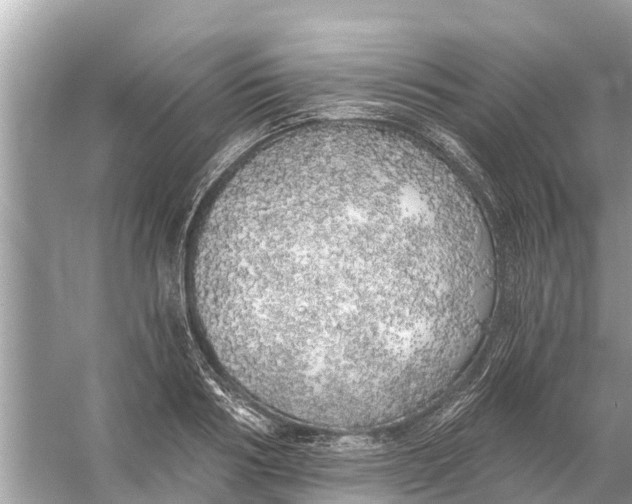 X0000056030986200509170032