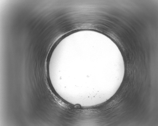 X0000056030988200509170032