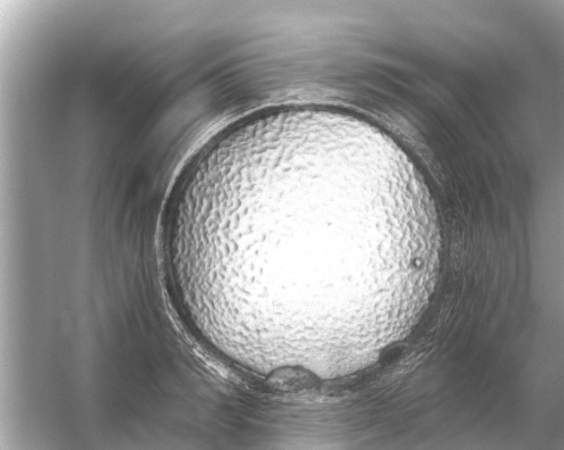 X0000056030990200509170032