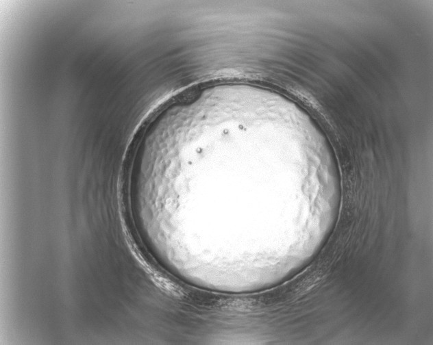 X0000056030991200509170032