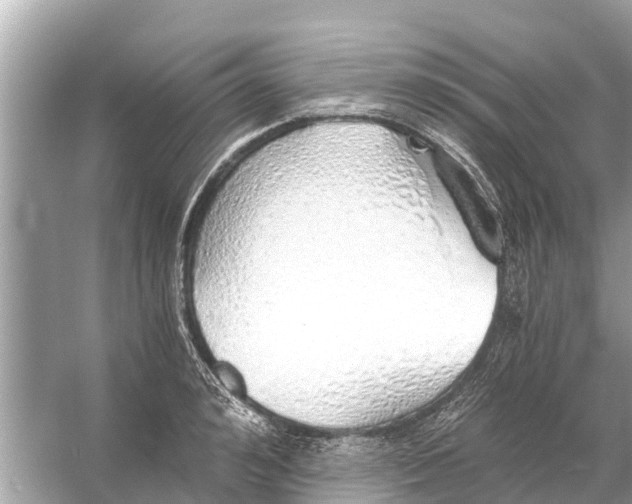 X0000056030992200509170032