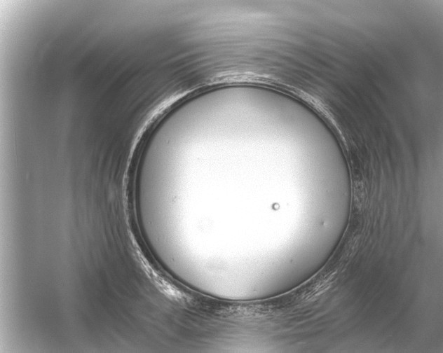 X0000056030995200509170032