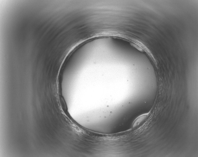 X0000056030996200509170032