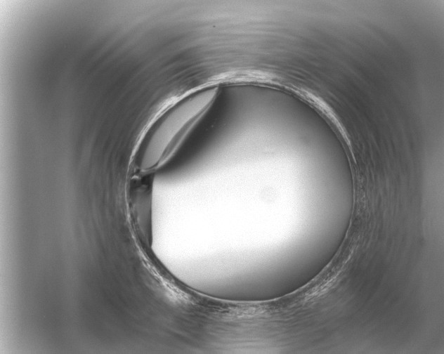 X0000056030997200509170032