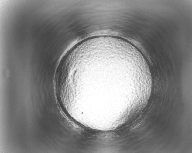 X0000056030998200509170032