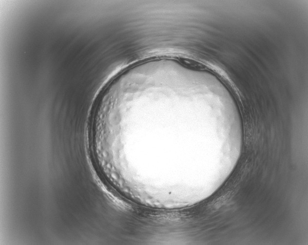 X0000056030999200509170032