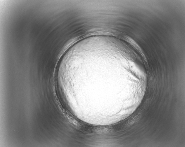 X0000056031002200509170031