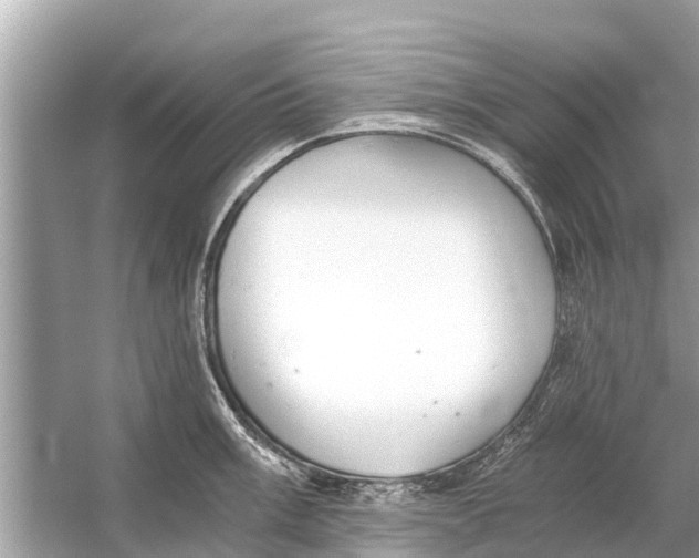 X0000056031003200509170031