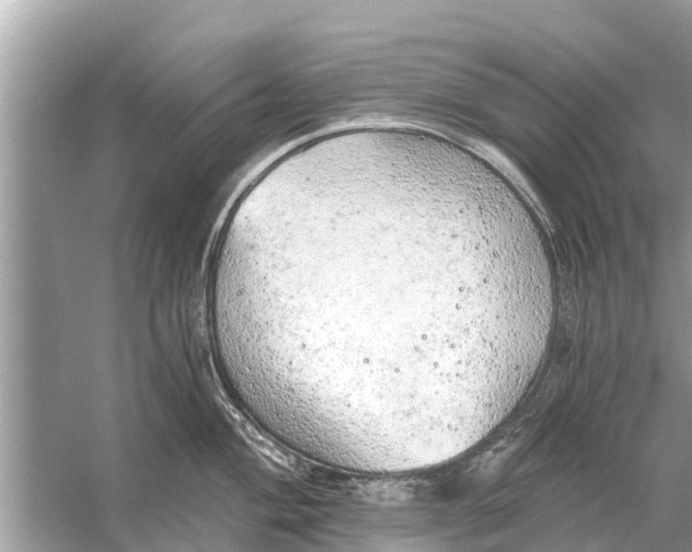 X0000056031004200509170031