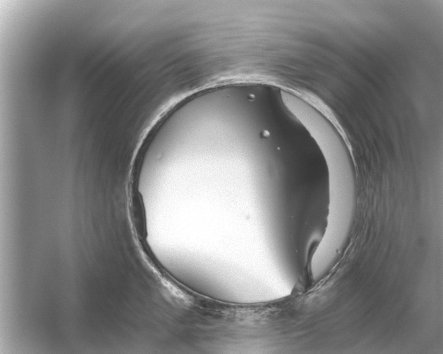 X0000056031005200509170031