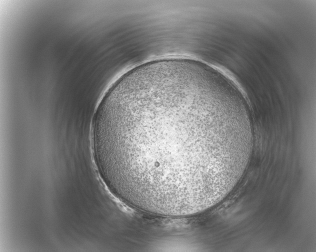 X0000056031006200509170031