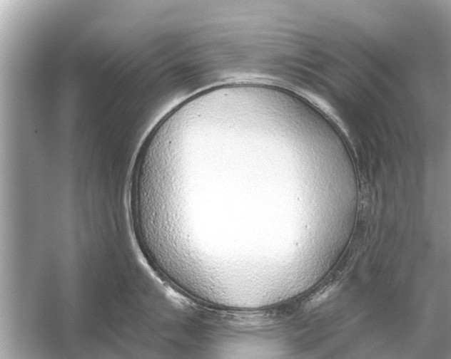 X0000056031007200509170031