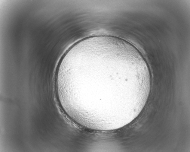 X0000056031008200509170031