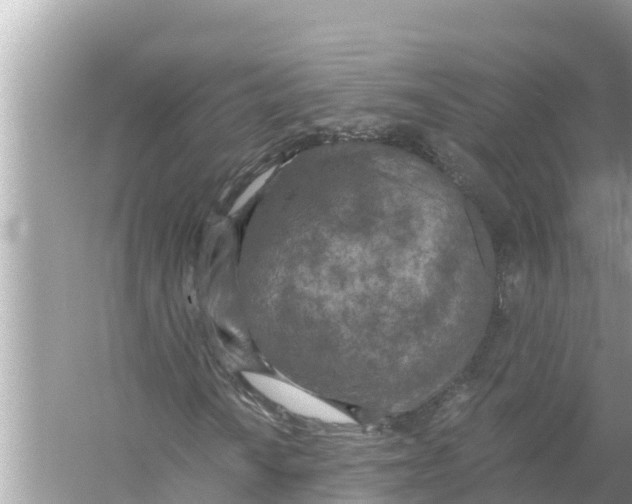 X0000056031010200509170031