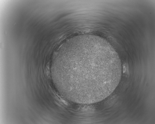 X0000056031011200509170031