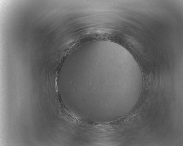 X0000056031013200509170031