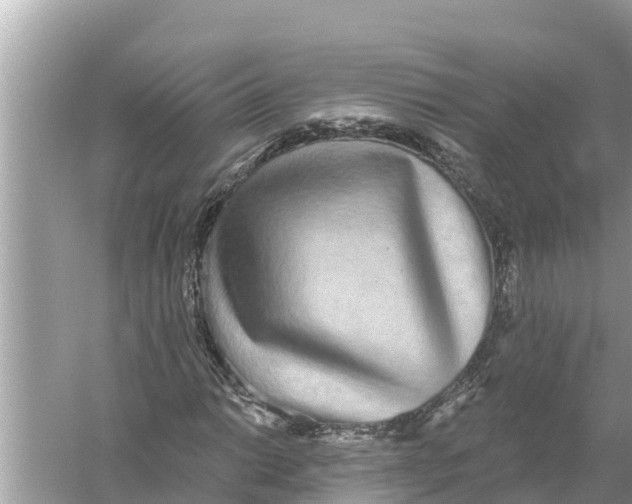 X0000056031014200509170031